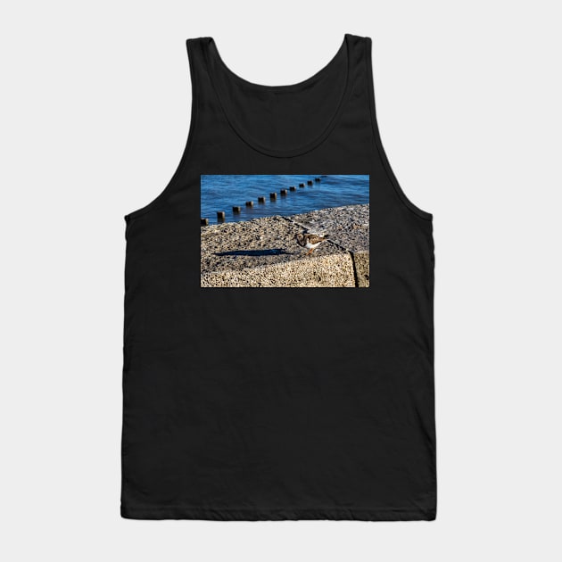 Ruddy turnstone Tank Top by jasminewang